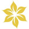 CureMyWife.com – A support network for women with chronic illness and pain